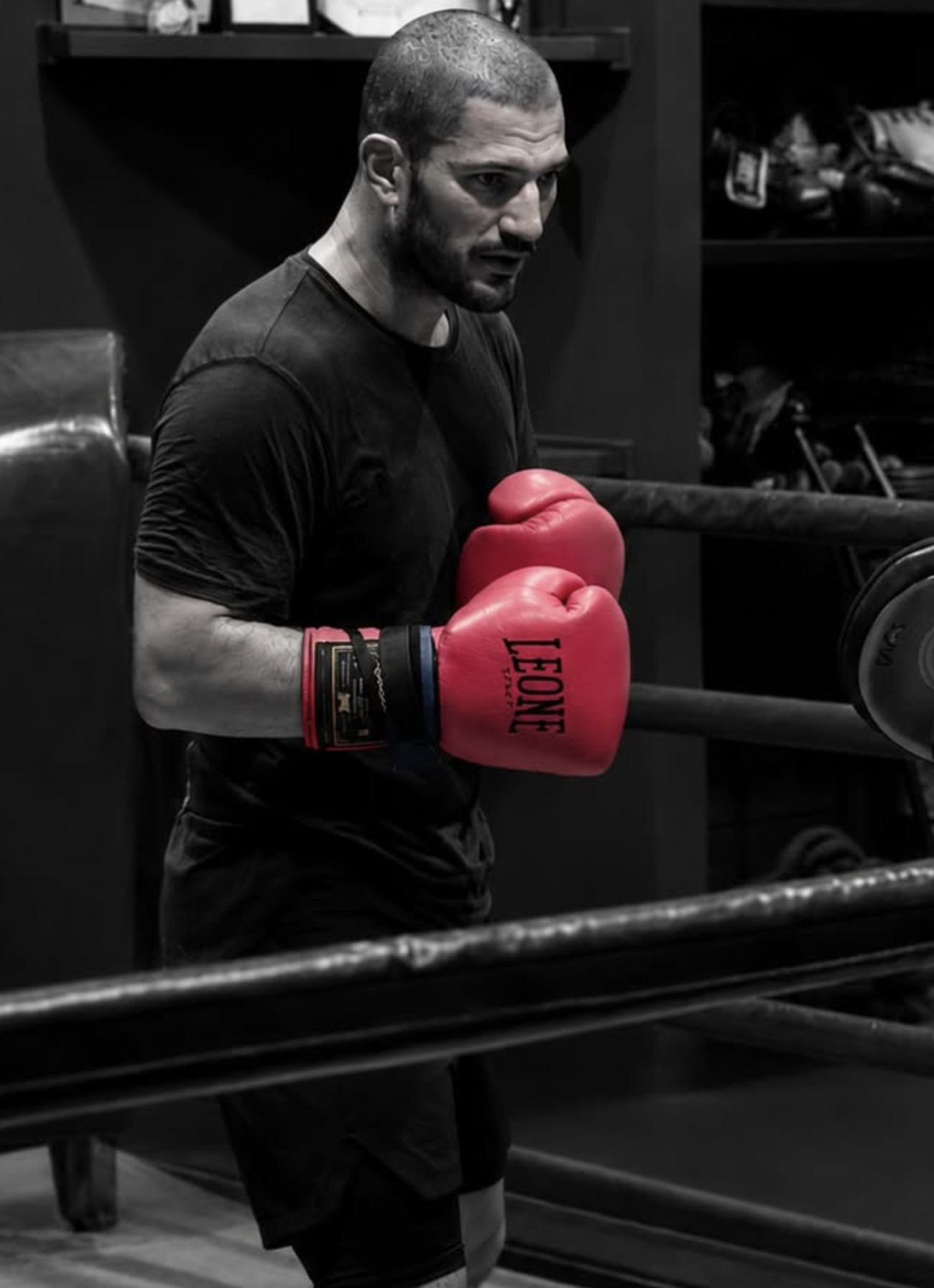 Dario Morello