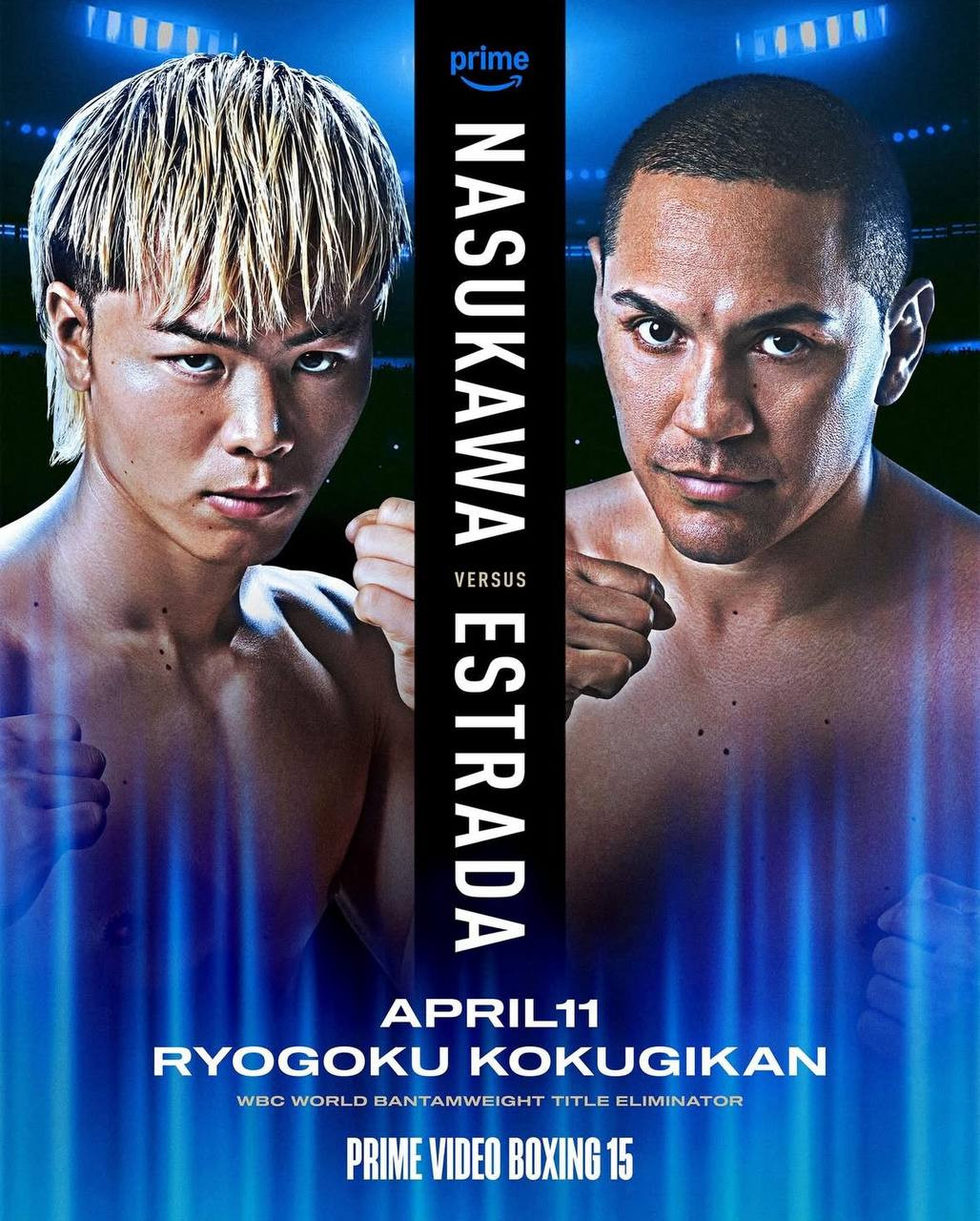 Nasukawa vs. Estrada