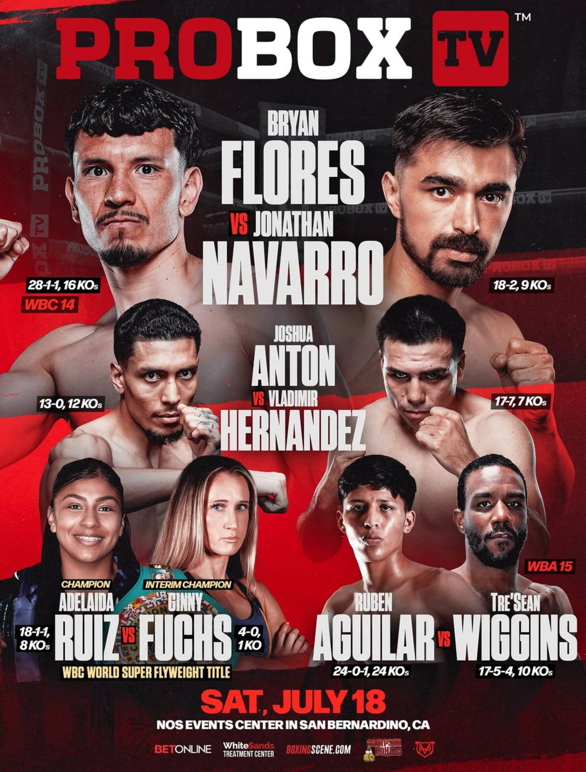 Flores vs. Navarro