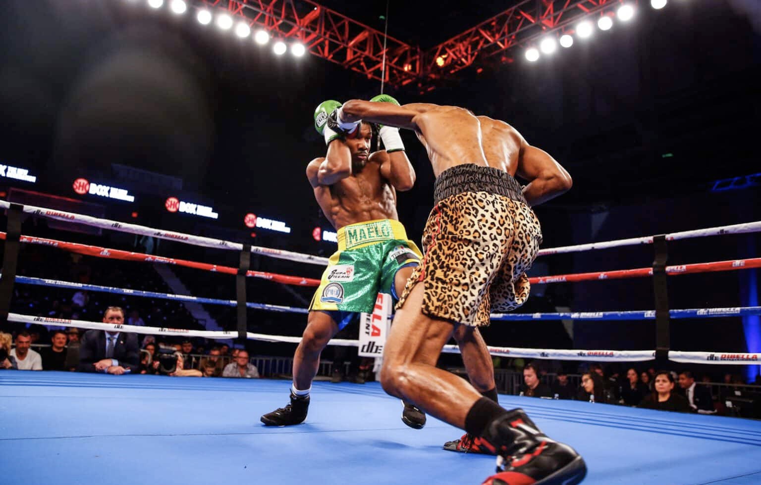 Boxing results 17/02/2023