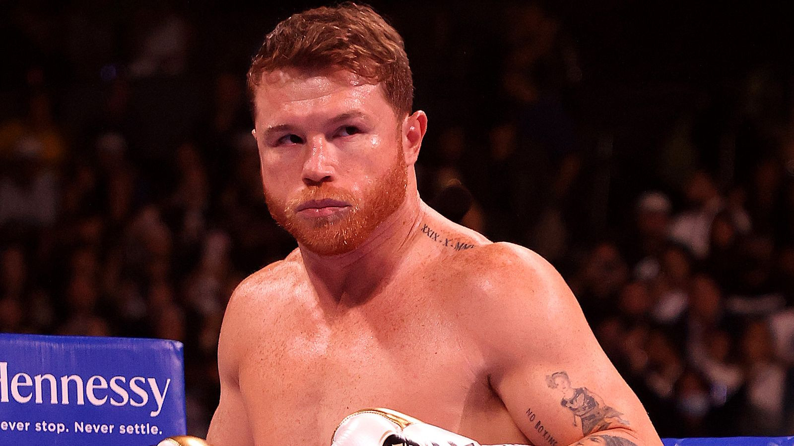 Canelo Alvarez’s intriguing options: Jermall Charlo and Badou Jack