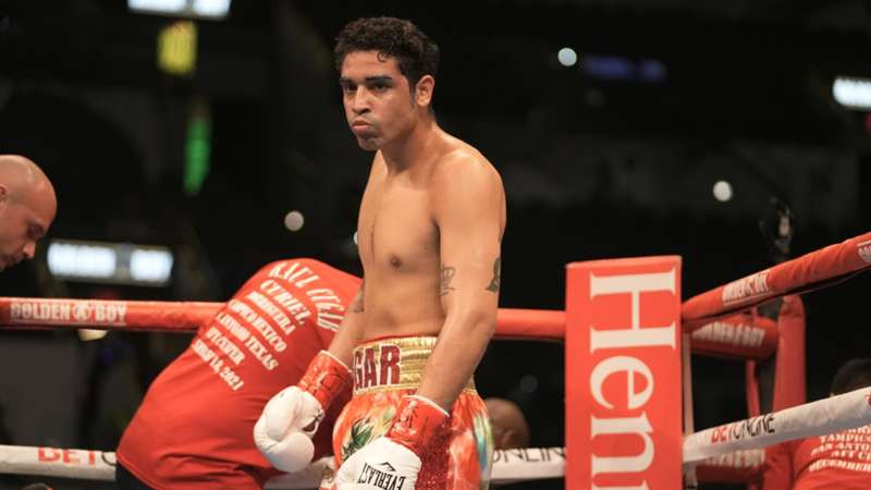 Boxing, boxing and boxing!