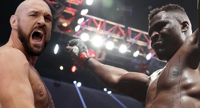 Gypsy King, “Bomba” Gonzalez, “Rocky” Hernandez will be boxing already this week!