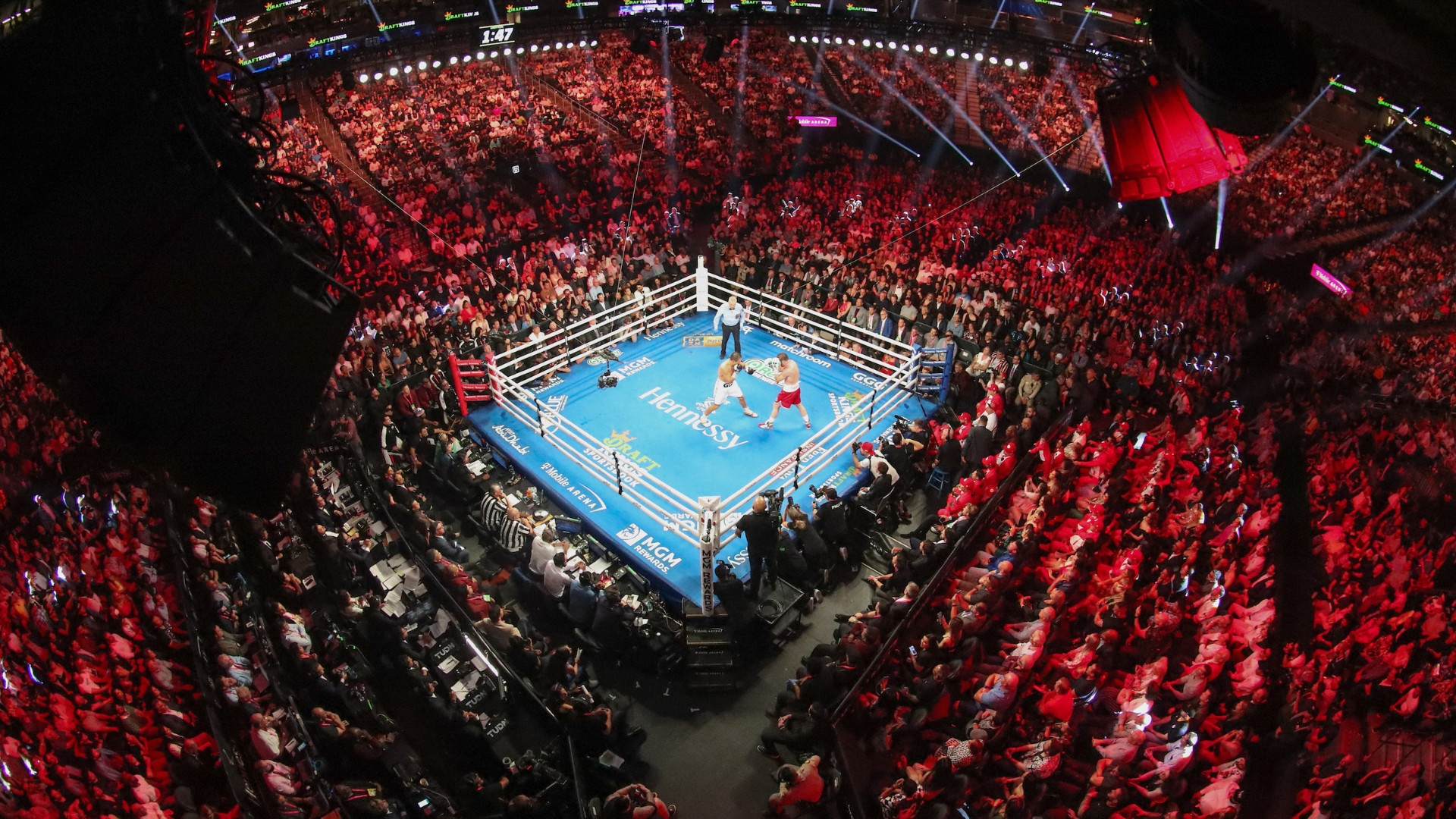 Explosive knockouts and title triumphs in Deauville