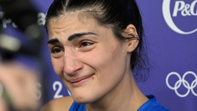 $50k to Italian Boxer