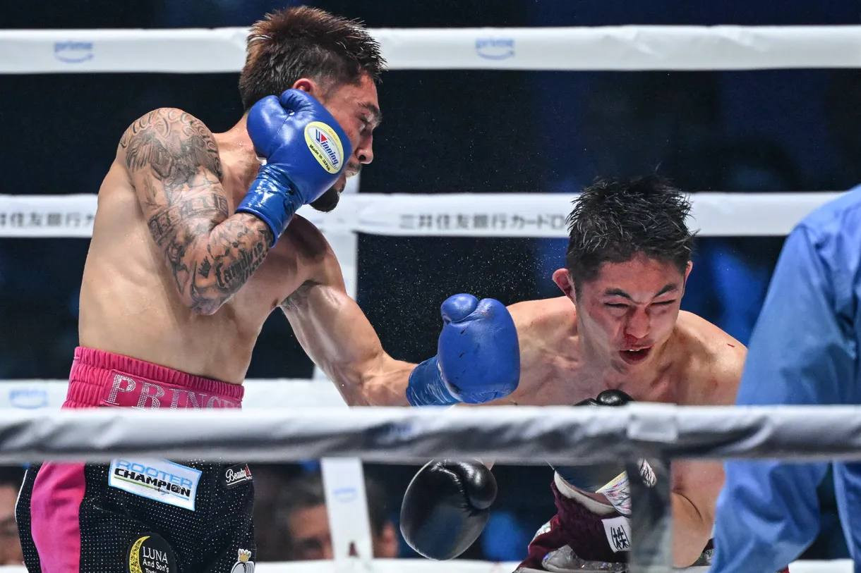 WBO orders new fight!