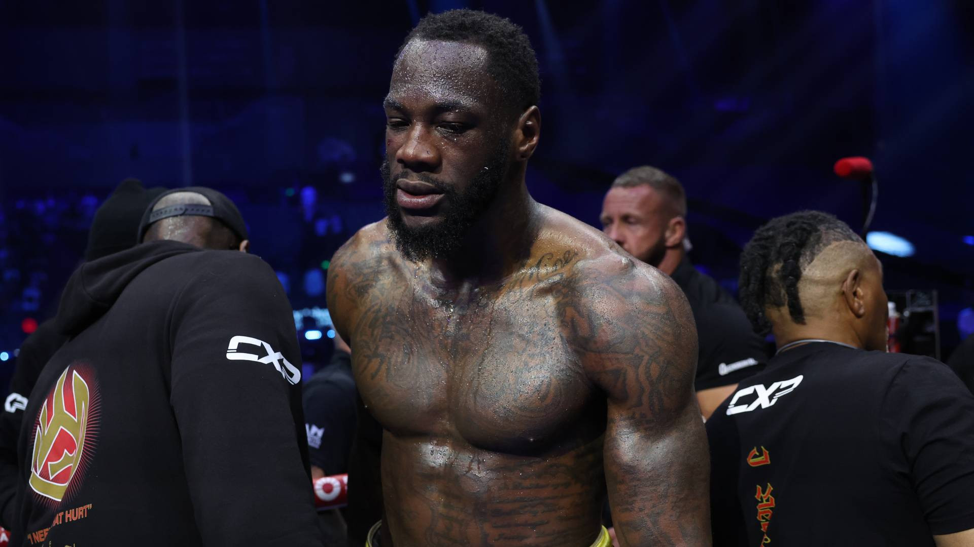 Wilder will be back!