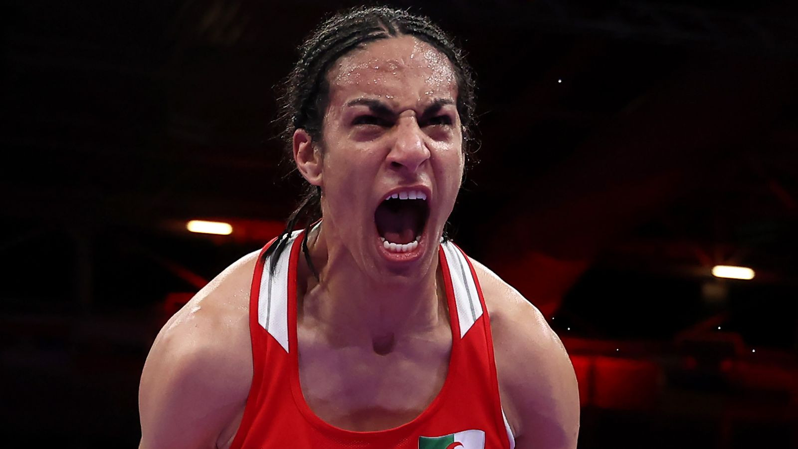 Will Imane Khelif turn pro?