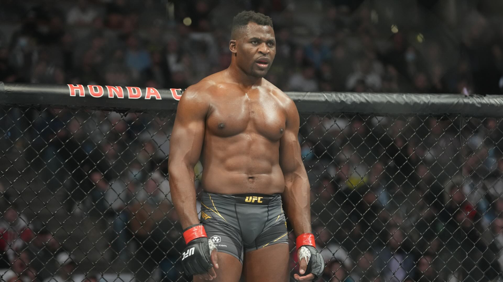 PFL parts ways with Francis Ngannou